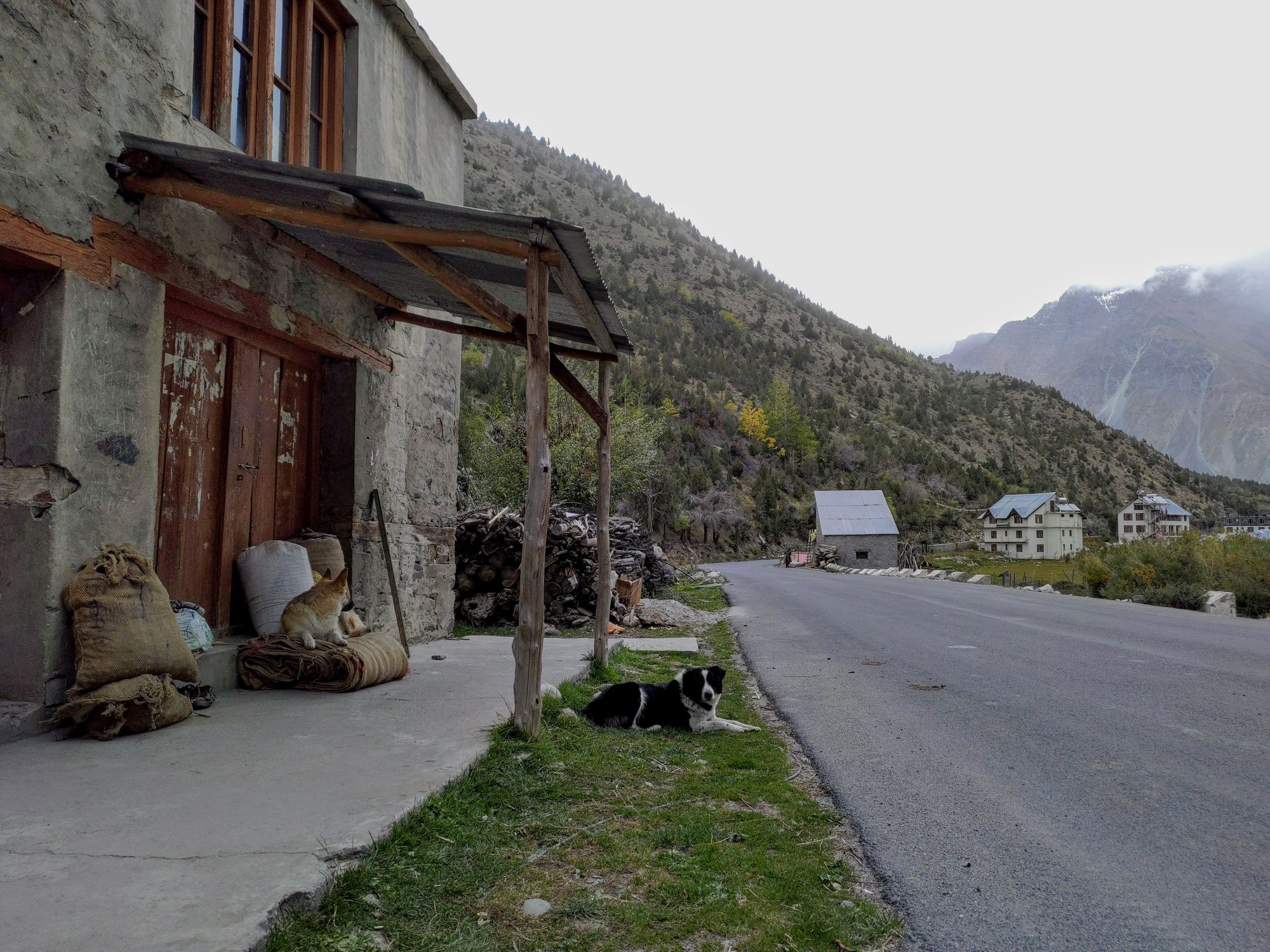 A view from one of Sreeraj's treks